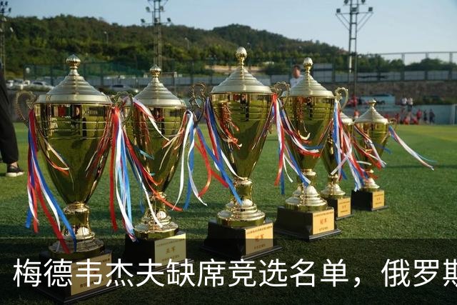 梅德韦杰夫缺席竞选名单，俄罗斯大选背后的真实策略